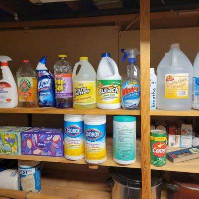 Tons of cleaning supplies. Couple bucks each.