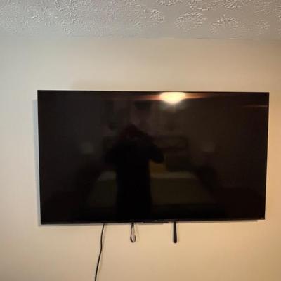 55" Roku HDTV #2