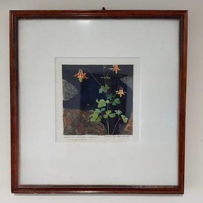 Charlotte Ann Meckley Artist "Wild Columbine" Watercolor 