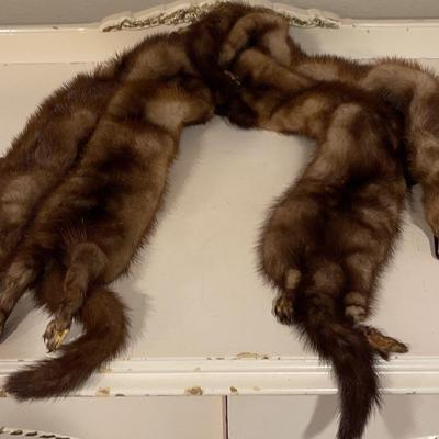 Vintage Mink Stole (?)