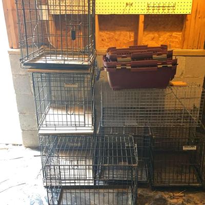 Animal Cages By Precision Pet Products 