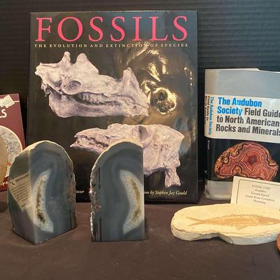 Blue Agate, Fossils, & Books