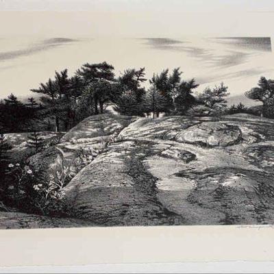 Stow wengenroth woodland ledge"