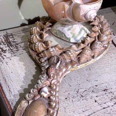 Victorian shell hand mirror conch skeleton