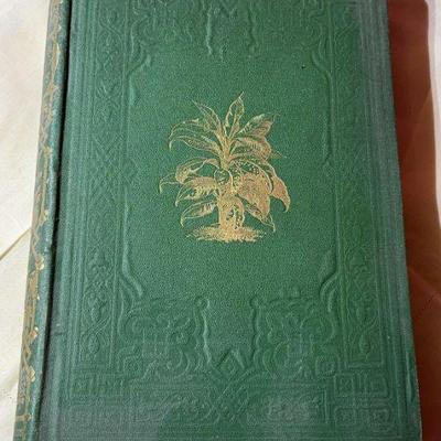 E j lowe “beautiful leaved plants”