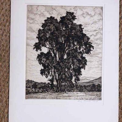 Luigi lucioni the elm on the hill”