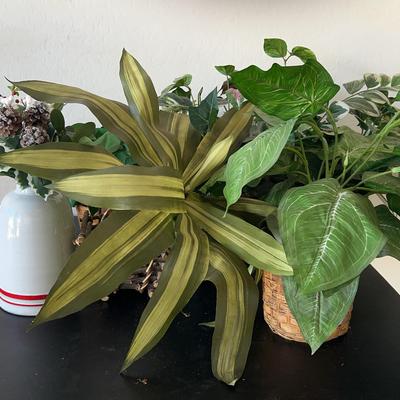 Plant Arrangements – Includes Ceramic Vase and Woven Basket
