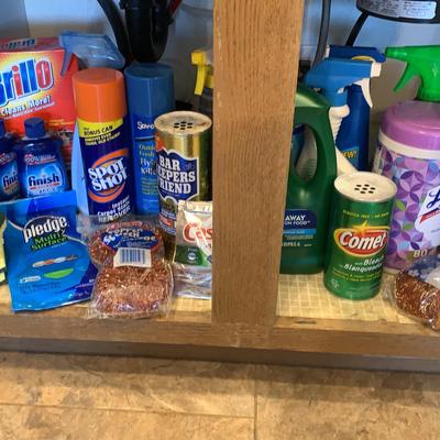 Assorted Cleaning Chemicals