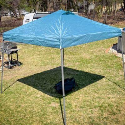 Outdoor Designz 8ft Pop Up Canopy
