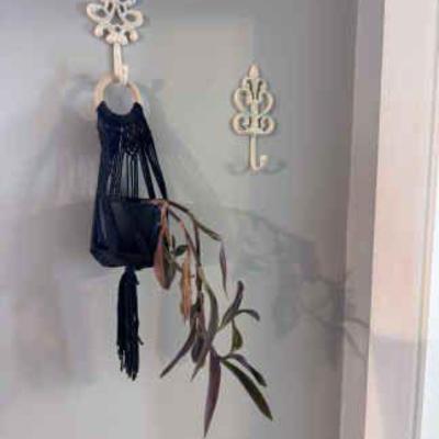 Smaller Purple Tradescantia Hanging Plant
