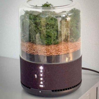 Briiv Air Filter
