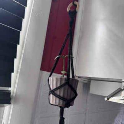 Plant Sprout In Hanger
