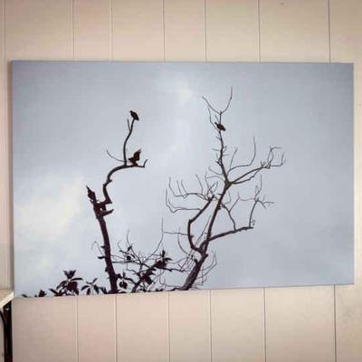 Large Print of Vultures
