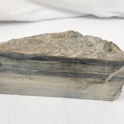 Natural History Trio – Early Jurassic Weyla Scallop Fossil, Polished Black Agate Geode, and Soapston