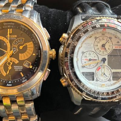 Citizen Wristwatches