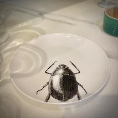 Beetle plate