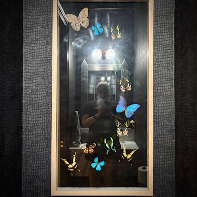 Mounted butterfly art