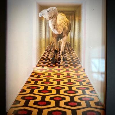 Surreal art from "Gray Malin at the Parker" photo series (note Hicks' Hexagon carpet - same carpet used in The Overlook...