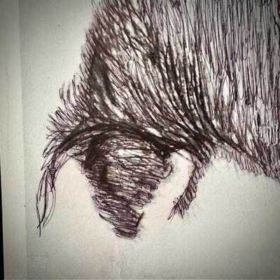 Ink & paper bull 