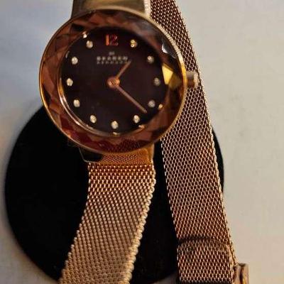 Skagen Denmark Watch 456SRR1 6150Z
