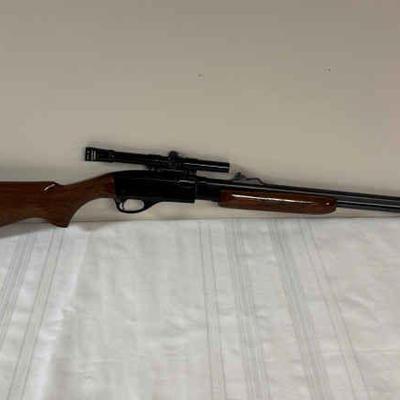 Remington 22 pump with sportview