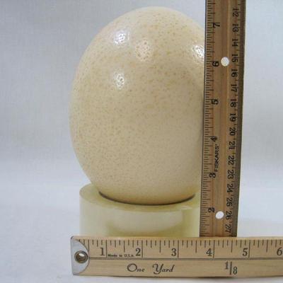 Ostrich Egg