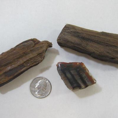 Petrified Wood