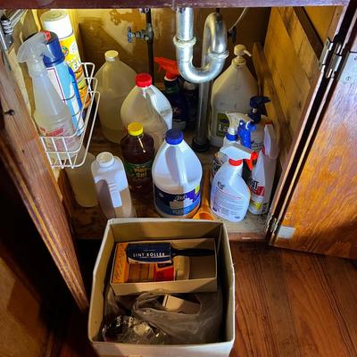 Undersink Mystery Cleaning Supplies