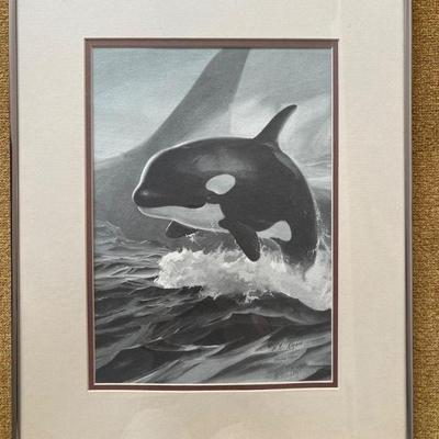 Vintage Baby Orca Print Signed by Artist