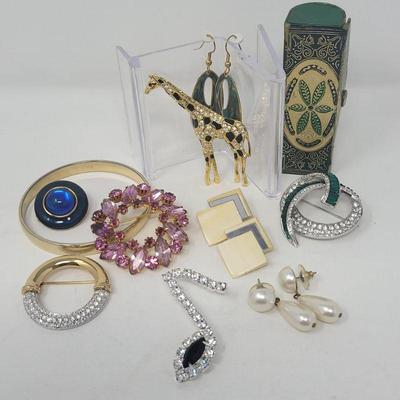 Brooch & Earring Jewelry Variety
