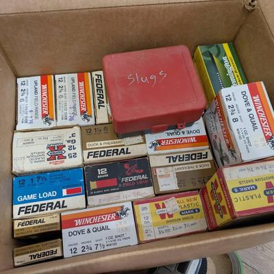 Large Group Of 12 Gauge Shotgun Shells