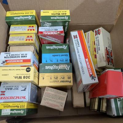Group Of Assorted Ammunition 