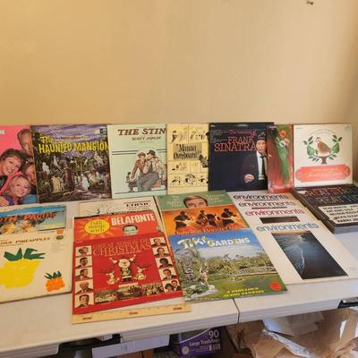 20 Vintage Records - The Haunted Mansion, Frank Sinatra, All in the Family, South Pacific