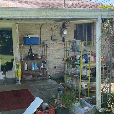 Back patio
