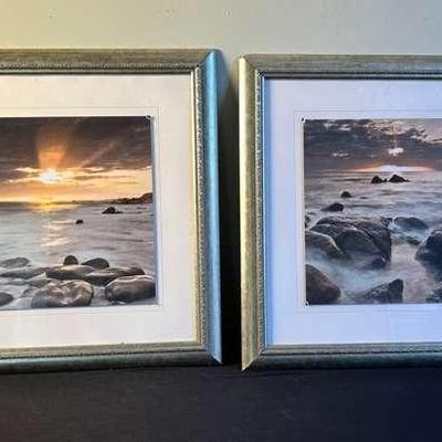 Set of Nature Prints