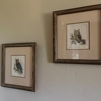Owl art 