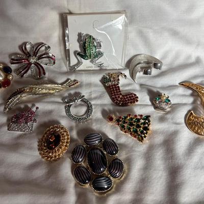 Brooch And Pin Assortment