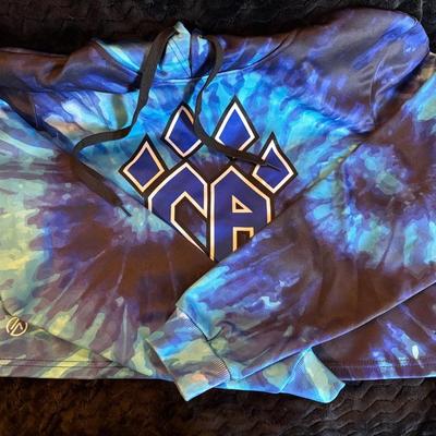 Cheer Athletics Crop Top Hoodie Size AS