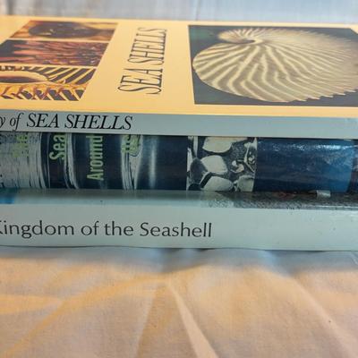 Books On Seashells And The Sea