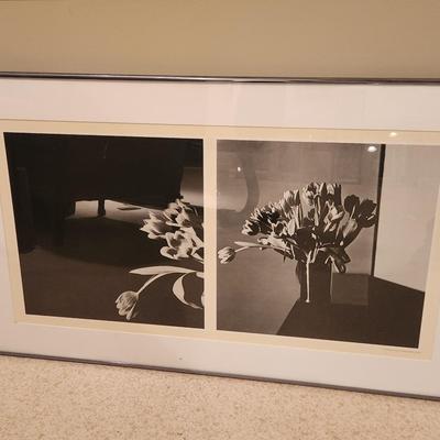 Robert Mapplethorpe Tulip Prints