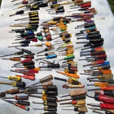 Dozens Of Various Screw Drivers