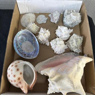 Sale Photo Thumbnail #378
