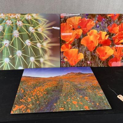 Sale Photo Thumbnail #248