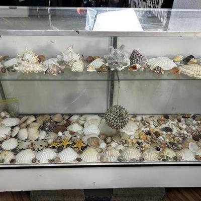 Sale Photo Thumbnail #336