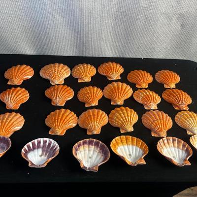 Sale Photo Thumbnail #333