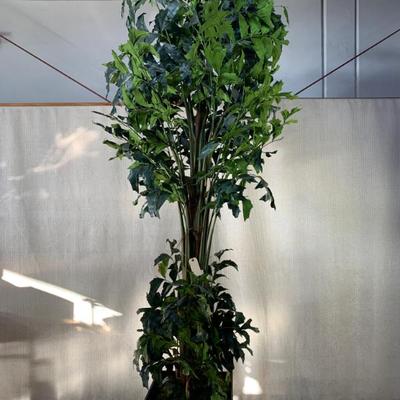 Sale Photo Thumbnail #207