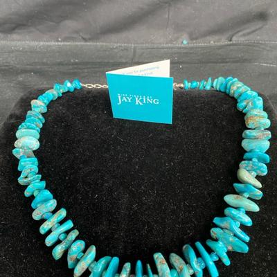 Jay King Anhui Turquoise Necklace 