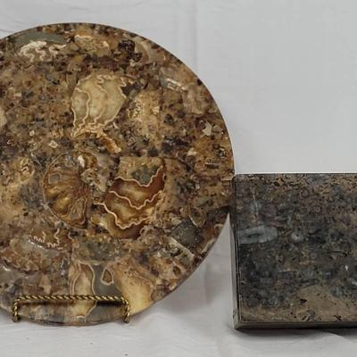 Fossil Decor 