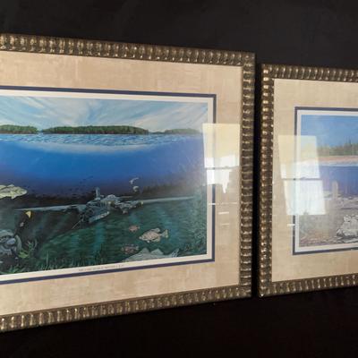 At The Bottom Of Lake Murray Framed Prints