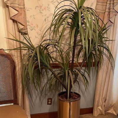 Faux Plant